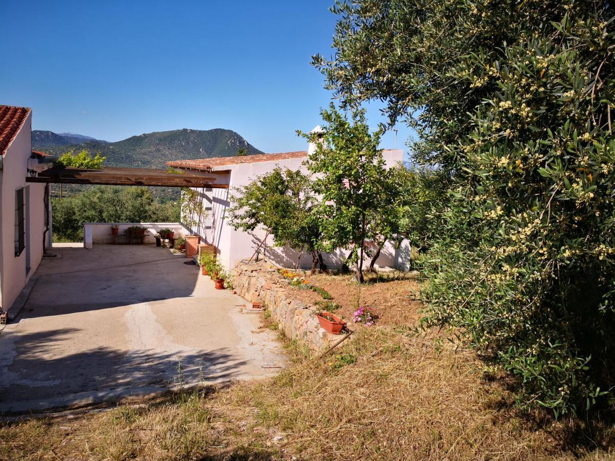 Villa Sa Pruna Oliena Extérieur photo