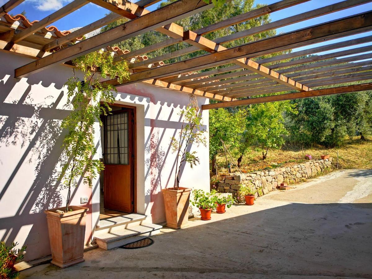 Villa Sa Pruna Oliena Extérieur photo